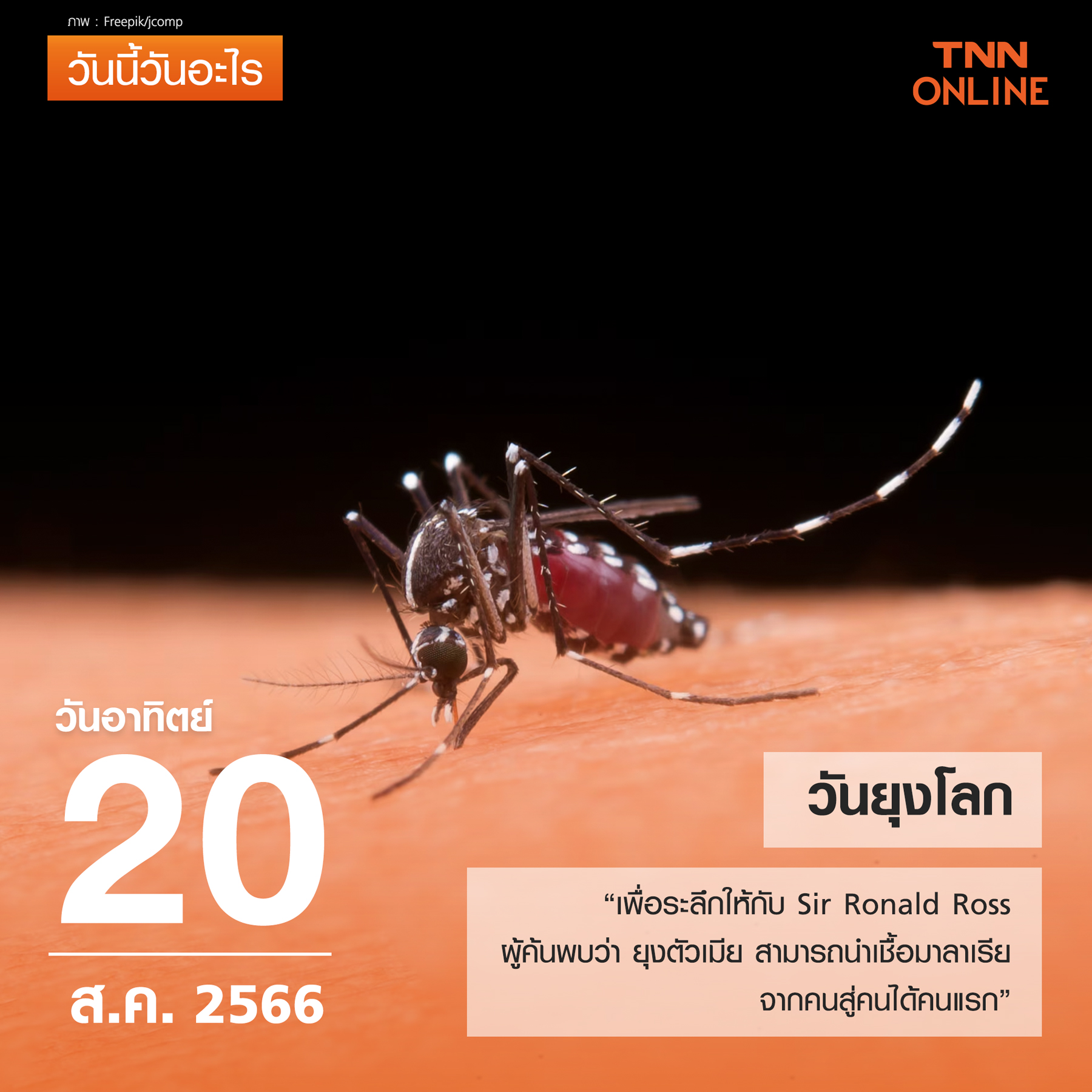 วันนี้วันอะไร 20 สิงหาคม ตรงกับ วันยุงโลก”