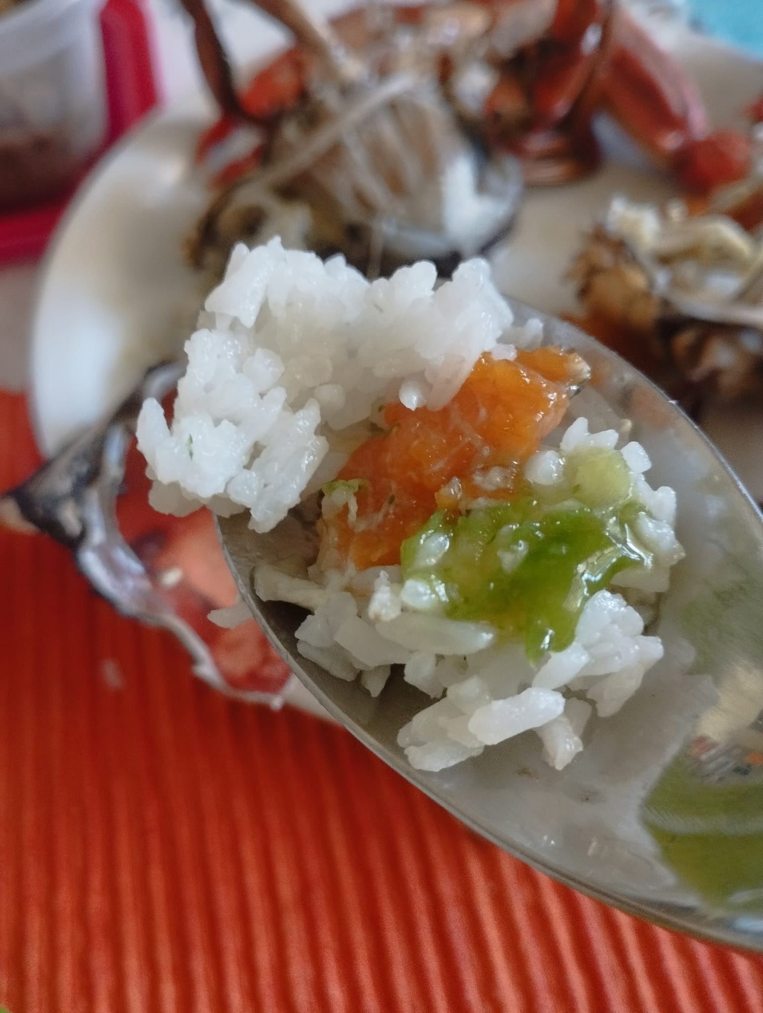 ปูม้าบุกอิตาลี! ไม่รอดคนไทยลองแล้ว เนื้อแน่น หวาน ไข่เต็มท้อง ปูม้าบุกอิตาลี! ไม่รอดคนไทยลองแล้ว เนื้อแน่น หวาน ไข่เต็มท้อง