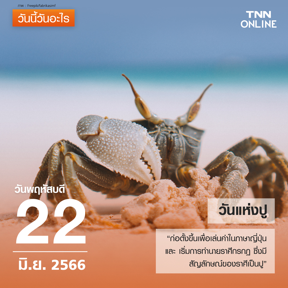 วันนี้วันอะไร วันแห่งปู ตรงกับวันที่ 22 มิถุนายน วันนี้วันอะไร วันแห่งปู ตรงกับวันที่ 22 มิถุนายน