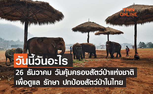 วันนี้วันอะไร 26 ธันวาคม ตรงกับ “วันคุ้มครองสัตว์ป่าแห่งชาติ”