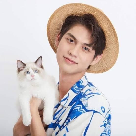 ไบร์ท วชิรวิชญ์ บริจาคเงินช่วยเหลือ นำโชค แมวไม่ทราบเจ้าของถูกรถชน 