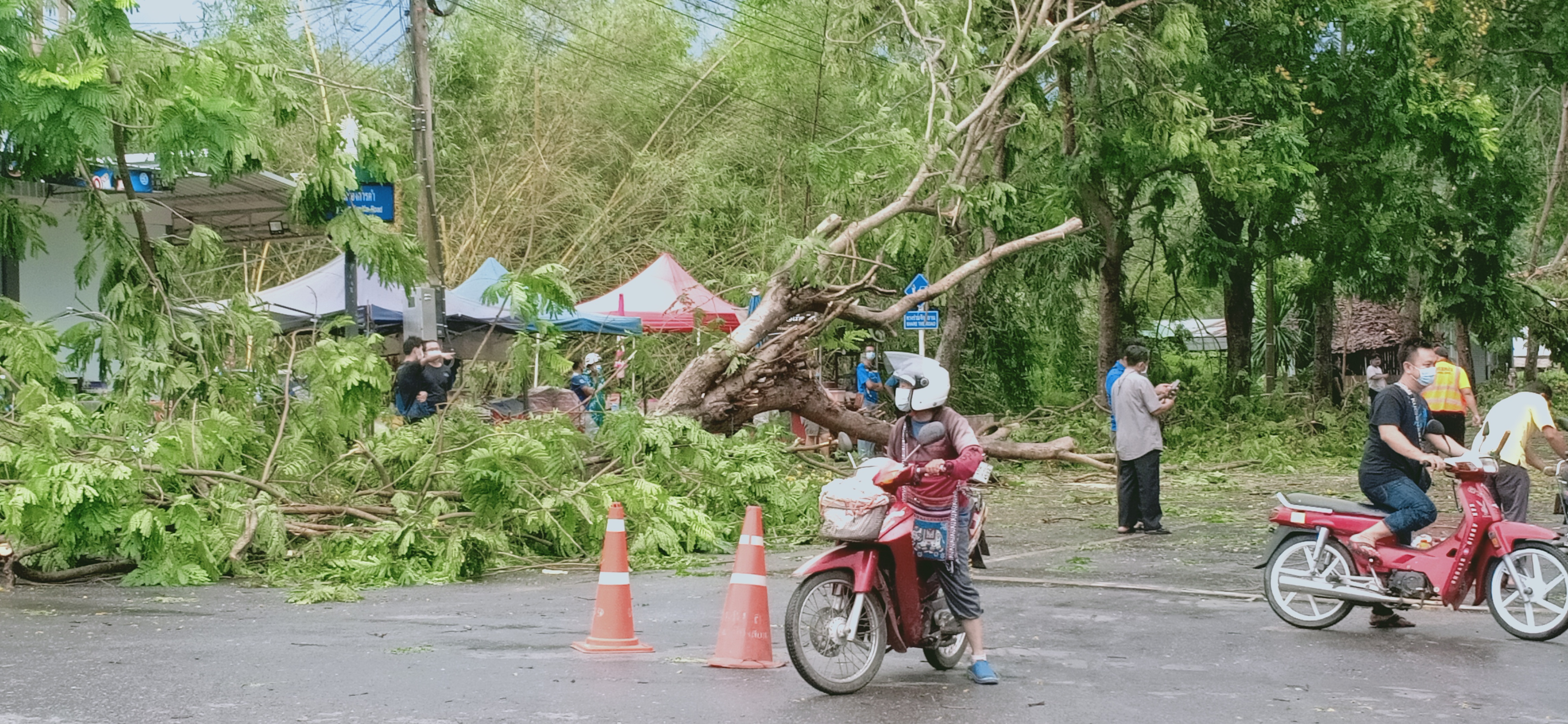 พายุลมแรงฝนหนักต้นไม้ทับรถเสียหายเพียบ