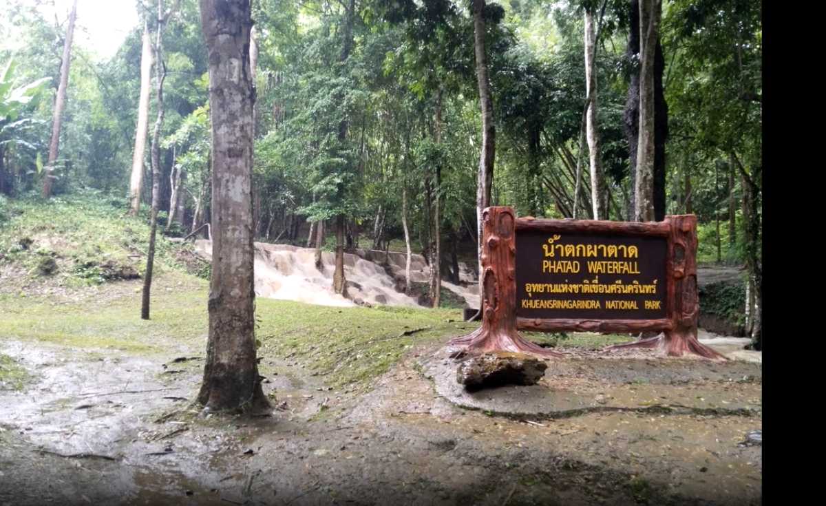 น้ำป่าหลาก งดเล่นน้ำในน้ำตกห้วยแม่ขมิ้น-น้ำตกผาตาด น้ำป่าหลาก งดเล่นน้ำในน้ำตกห้วยแม่ขมิ้น-น้ำตกผาตาด