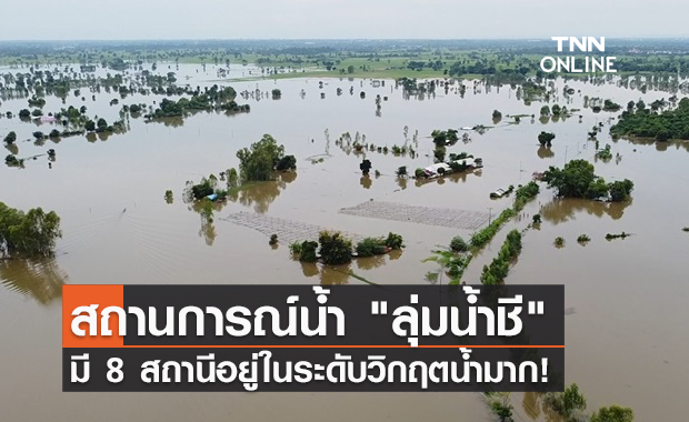 อัปเดตล่าสุด! สถานการณ์น้ำ "ลุ่มน้ำชี" มี 8 สถานีอยู่ในระดับวิกฤตน้ำมาก