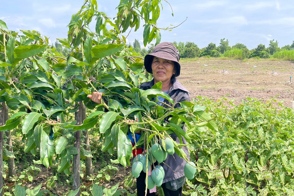 ปันน้ำปุ๋ยสู่เกษตรกร CPF ช่วยเกษตรกรก้าวผ่านวิกฤตภัยแล้ง ปันน้ำปุ๋ยสู่เกษตรกร CPF ช่วยเกษตรกรก้าวผ่านวิกฤตภัยแล้ง