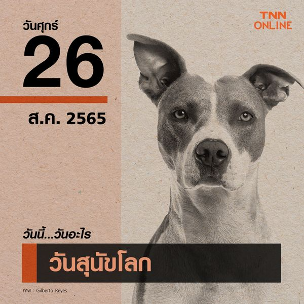 มาร์ช สุดเศร้า พ็อกบา สุนัขตัวโปรด กลับดาวหมาแล้ว