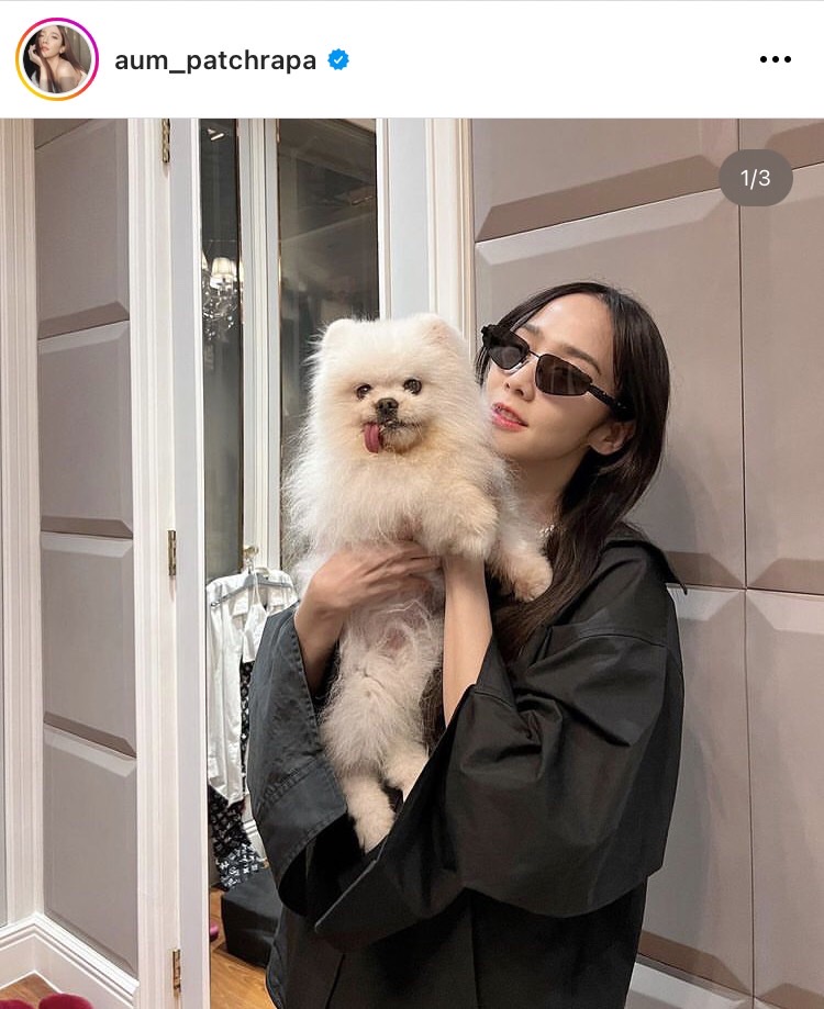 อั้ม สุดเศร้าจำใจต้องลาพี่เติ้ลน้องหมาสุดรักครั้งสุดท้าย