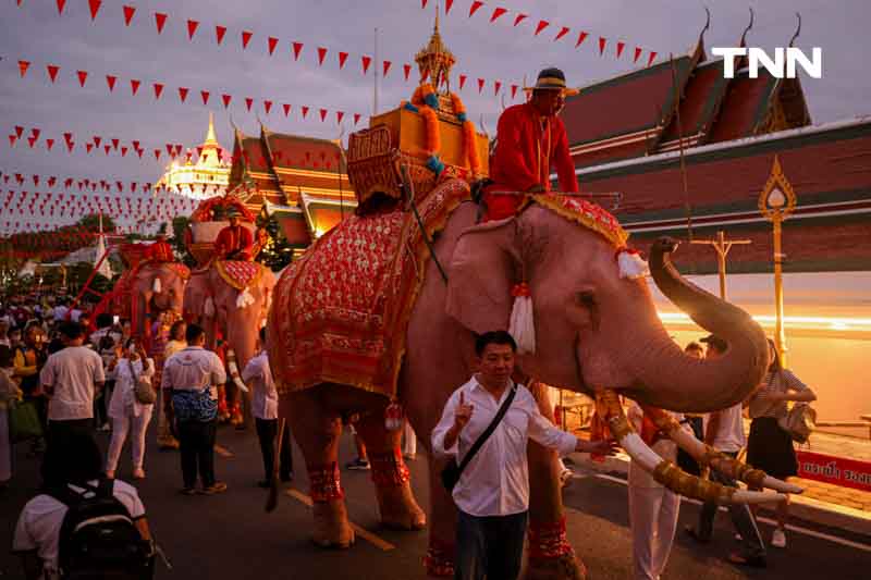 ขบวนยิ่งใหญ่ตระการตา อัญเชิญผ้าแดงห่มองค์พระบรมบรรพต(ภูเขาทอง) ขบวนยิ่งใหญ่ตระการตา อัญเชิญผ้าแดงห่มองค์พระบรมบรรพต(ภูเขาทอง)