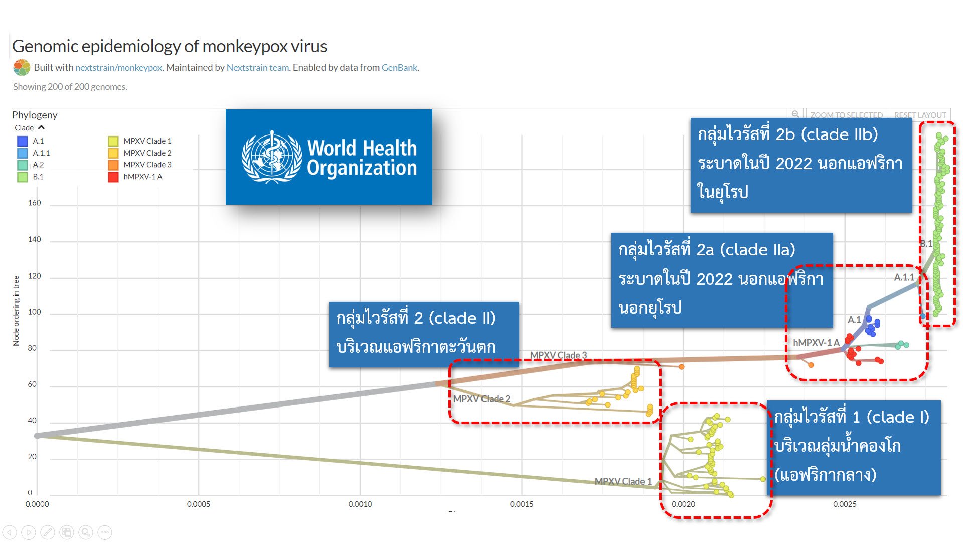 ศูนย์จีโนมฯ เผยวิธีการตั้งชื่อไวรัส พร้อมเปิดชื่อล่าสุดของ ฝีดาษลิง 4 กลุ่ม