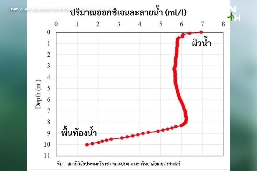 ดร.ธรณ์ เผยสาเหตุ น้ำทะเลสีเขียวหลายแห่งในชลบุรี
