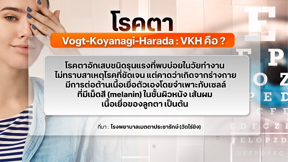อันตรายโรคตา VKH รักษาที่ถูกวิธี เสี่ยงตาบอดถาวร อันตรายโรคตา VKH รักษาที่ถูกวิธี เสี่ยงตาบอดถาวร