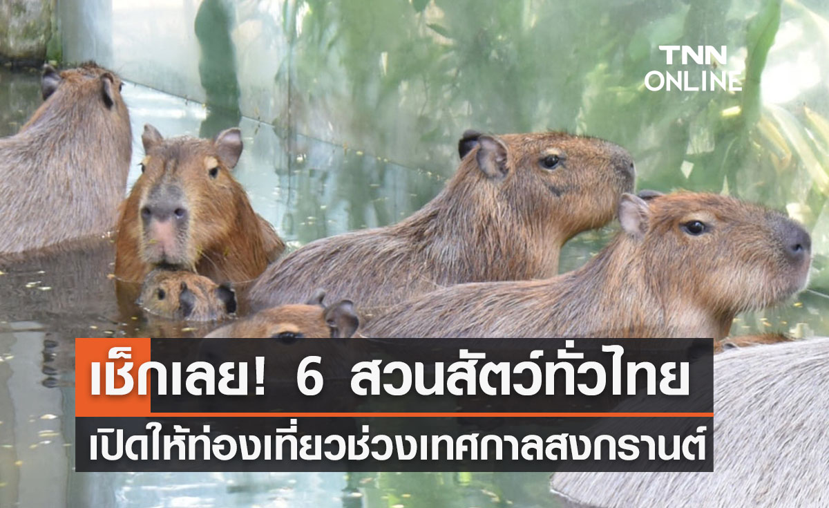 เช็กเลย! 6 สวนสัตว์ เปิดรับปชช.เที่ยวช่วงเทศกาลสงกรานต์ 65