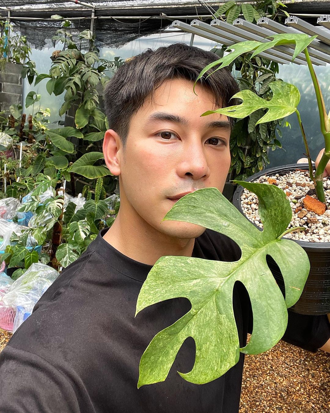 เคน ภูภูมิ ไลฟ์ขายต้นไม้ ได้ยอดเงิน 1 ล้าน มอบสมทบทุนช่วยโควิด-19 ให้มูลนิธิรามาธิบดี เคน ภูภูมิ ไลฟ์ขายต้นไม้ ได้ยอดเงิน 1 ล้าน มอบสมทบทุนช่วยโควิด-19 ให้มูลนิธิรามาธิบดี