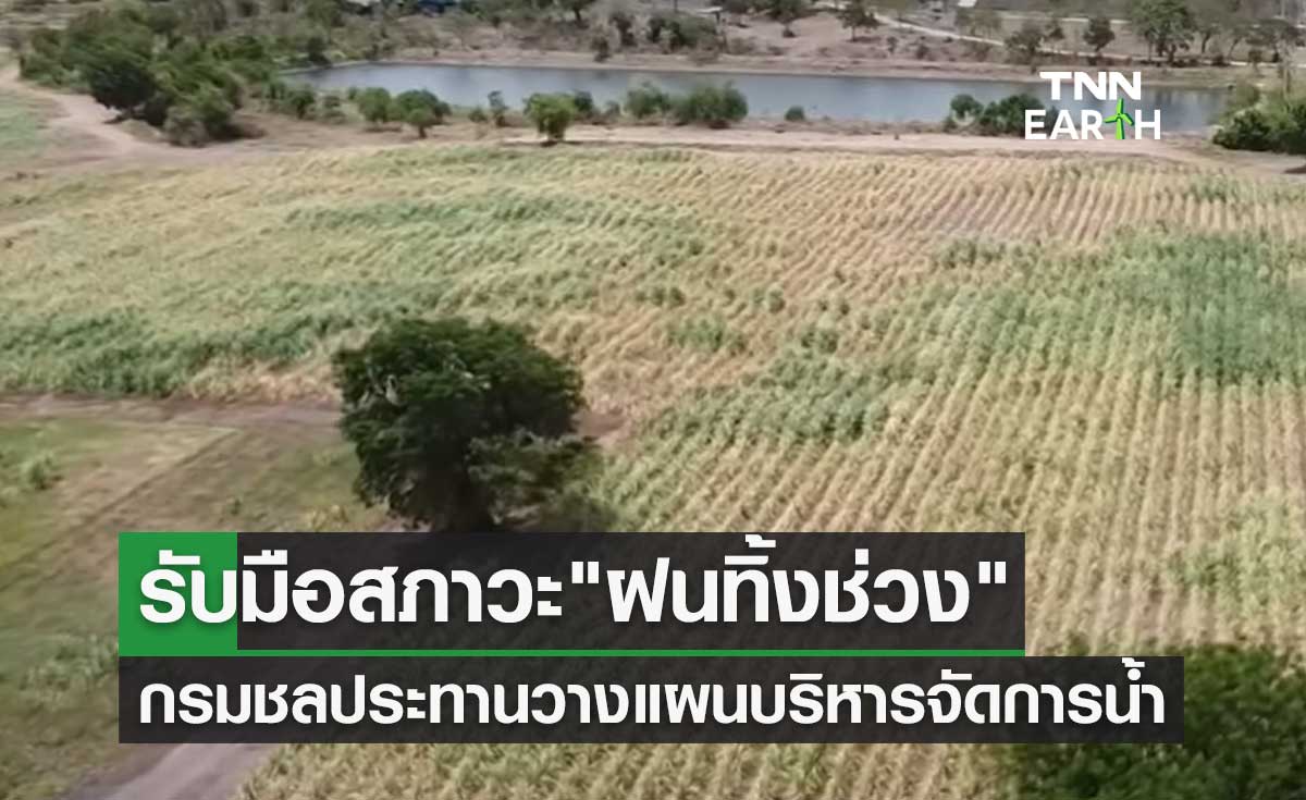 รับมือสภาวะ "ฝนทิ้งช่วง" กรมชลประทานวางแผนบริหารจัดการน้ำ 