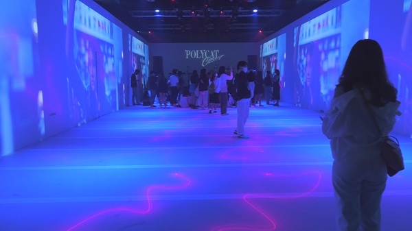  Polycat  เล่าเรื่องราว 10 ปีเส้นทางดนตรี ผ่านนิทรรศการศิลปะดิจิทัล (มีคลิป)