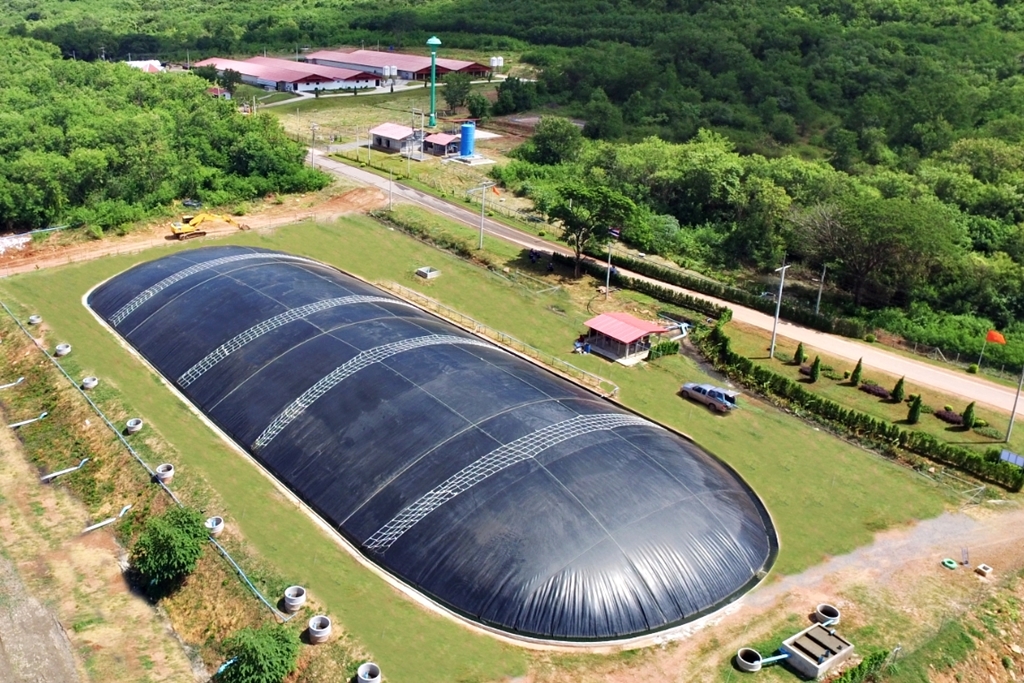 CPF เดินหน้า “Greenfarm” ดันใช้ “ไบโอแก๊ส-โซลาร์ฟาร์ม” เป็นพลังงานทดแทน