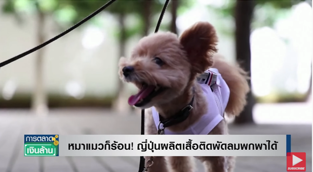 หมาแมวก็ร้อนเป็น! ญี่ปุ่นคิดค้นเสื้อสัตว์เลี้ยงติดพัดลม สำหรับพกพาได้ หมาแมวก็ร้อนเป็น! ญี่ปุ่นคิดค้นเสื้อสัตว์เลี้ยงติดพัดลม สำหรับพกพาได้