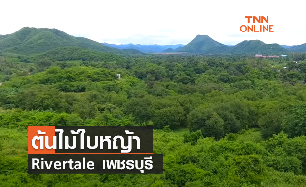 (คลิป) ต้นไม้ใบหญ้า Rivertale เพชรบุรี 