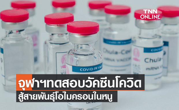 จุฬาฯเตรียมทดสอบวัคซีนโควิดสู้"โอไมครอน"ในหนู 