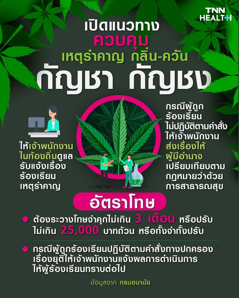 เปิดแนวทางควบคุมเหตุรำคาญกลิ่นและควัน ที่มาจากกัญชา-กัญชง 