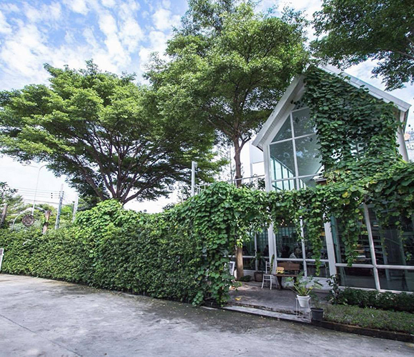 10 คาเฟ่พระราม 3 ถ่ายรูปสวย ลงตัวทุกวันหยุด 10 คาเฟ่พระราม 3 ถ่ายรูปสวย ลงตัวทุกวันหยุด