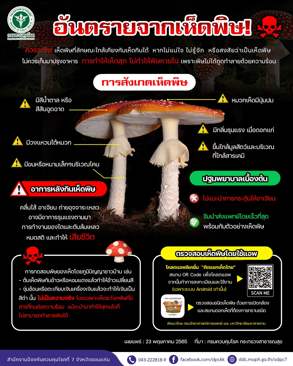 4 เห็ดพิษอันตรายช่วงฤดูฝน ทานแล้วมีอาการอย่างไร-จะเกิดขึ้นภายในกี่ชั่วโมง?