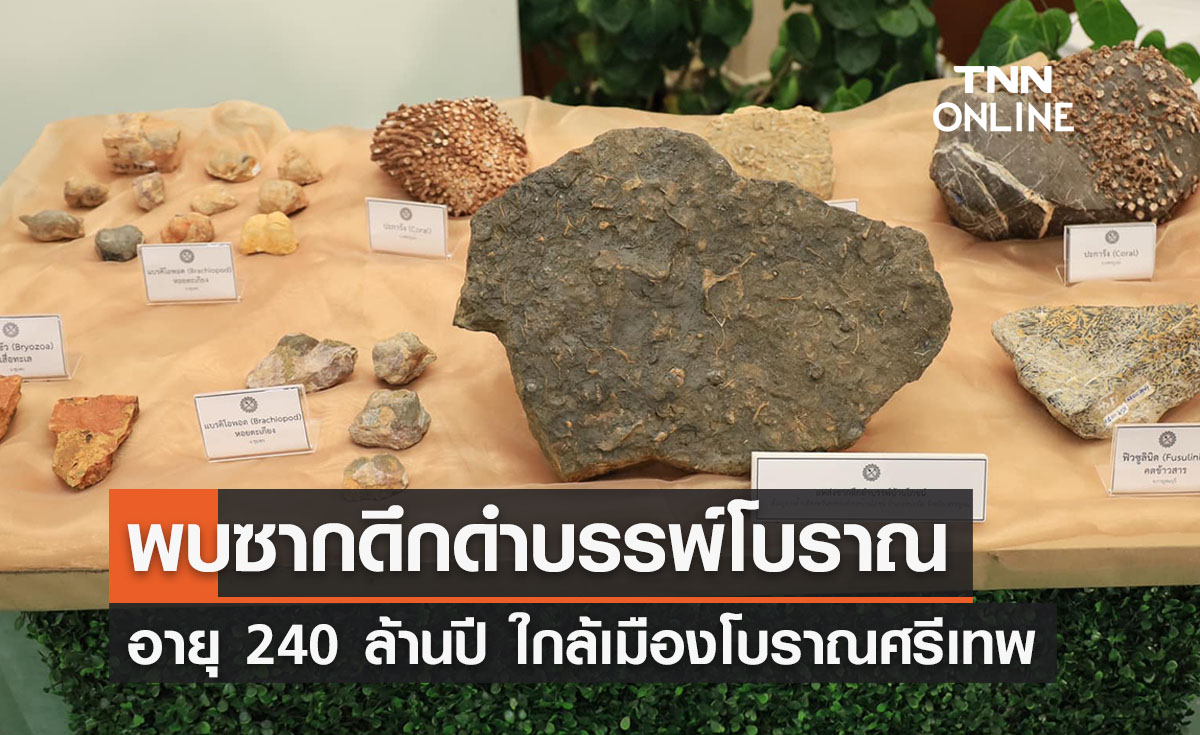 พบซากดึกดำบรรพ์สัตว์ทะเลโบราณ 240 ล้านปีใกล้ ‘เมืองโบราณศรีเทพ’    