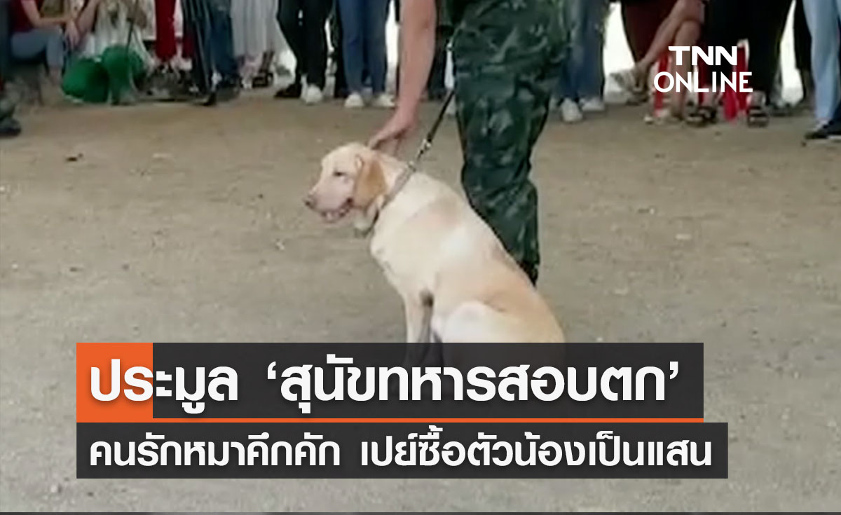 โคราชคึกคักประมูล ‘สุนัขทหารสอบตก’ นำไปเป็นสัตว์เลี้ยง ราคาสูงสุดเกือบแสน