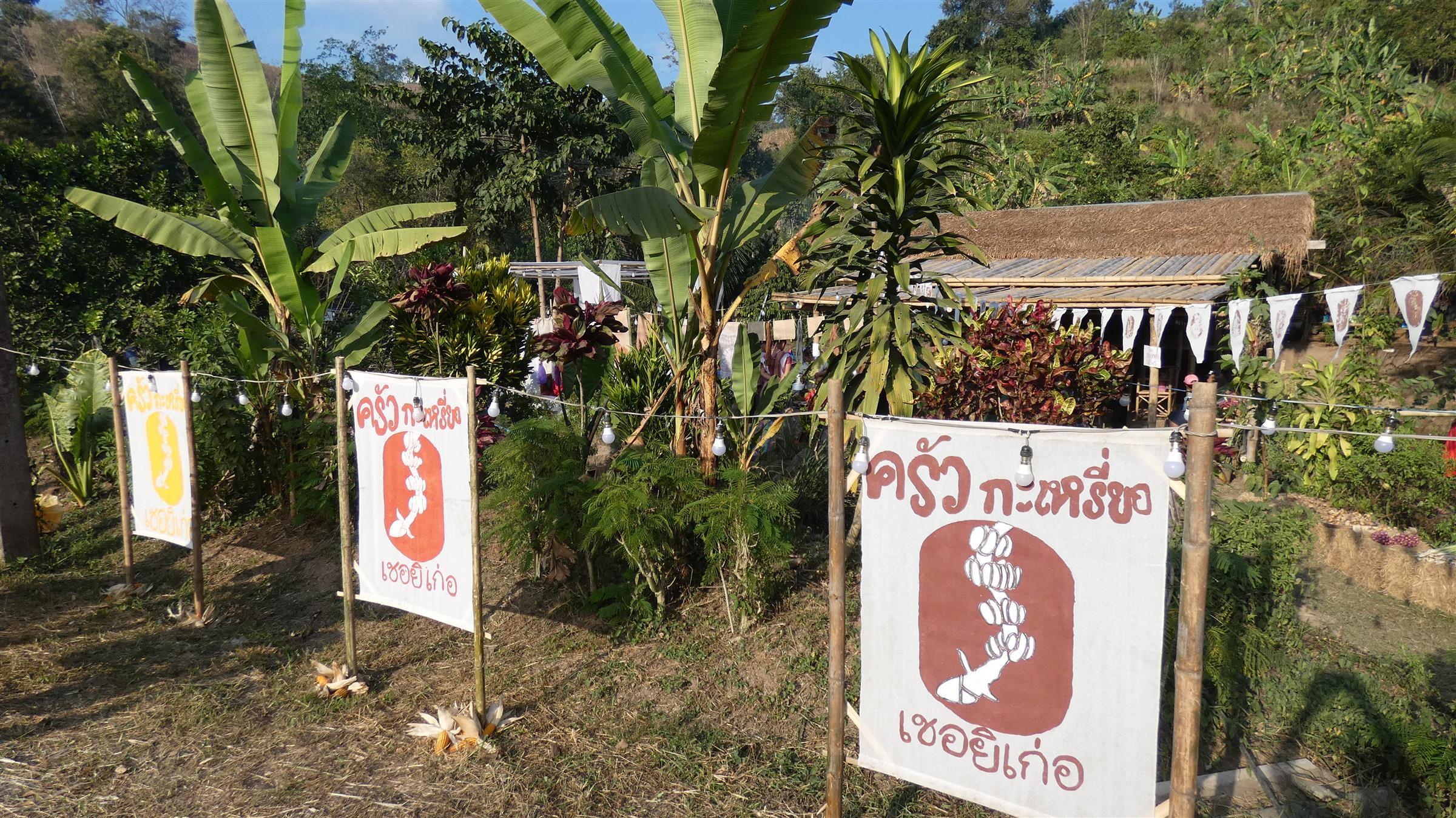 ฝีมือคนรุ่นใหม่! “ครัวกะเหรี่ยงเชอยิเก่อ” สืบสานภูมิปัญญาชาวบ้าน “แก่นมะกรูด” ฝีมือคนรุ่นใหม่! “ครัวกะเหรี่ยงเชอยิเก่อ” สืบสานภูมิปัญญาชาวบ้าน “แก่นมะกรูด”