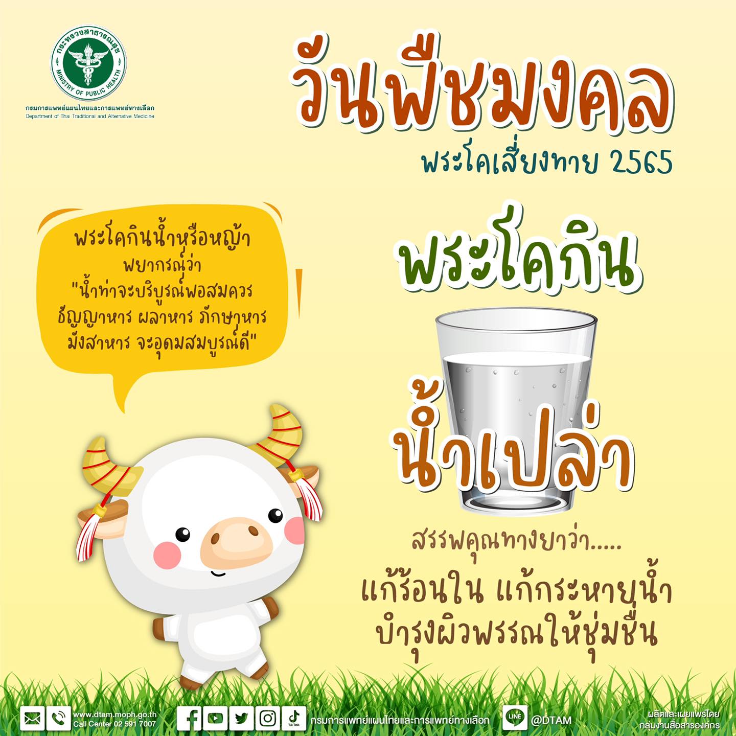 วันพืชมงคล 2565 พระโคเลือกกิน น้ำ หญ้า ถั่ว เหล้า เปิดสรรพคุณทางยาที่ควรรู้