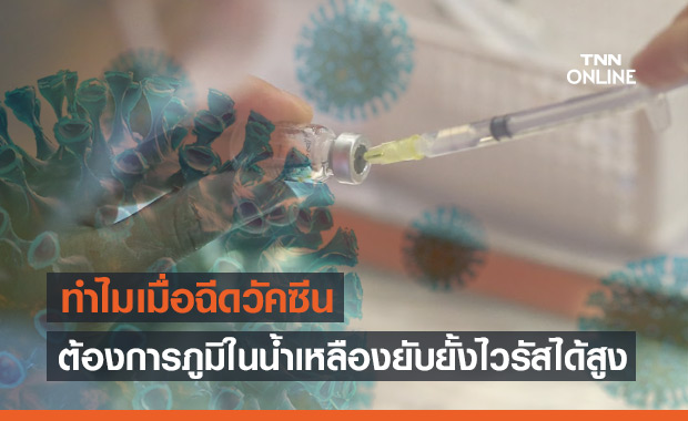 ไขข้อสงสัย ทำไมเมื่อฉีดวัคซีน ต้องการภูมิในน้ำเหลืองที่ยับยั้งไวรัสได้สูง 70%