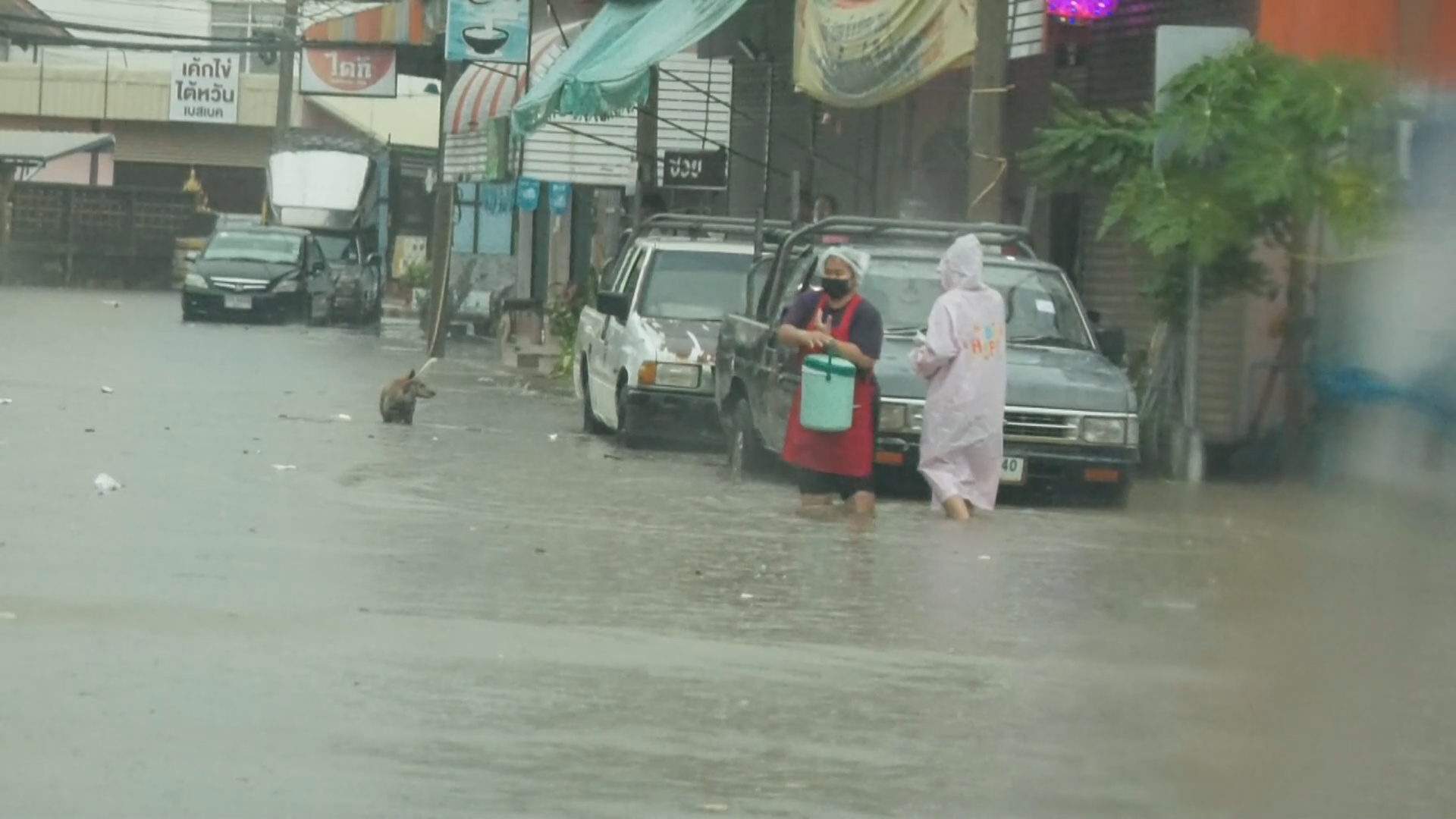 ฝนถล่ม จ.พิจิตร น้ำท่วมหนักย่านเศรษฐกิจ พ่อค้า-แม่ค้า เร่งอพยพ ฝนถล่ม จ.พิจิตร น้ำท่วมหนักย่านเศรษฐกิจ พ่อค้า-แม่ค้า เร่งอพยพ