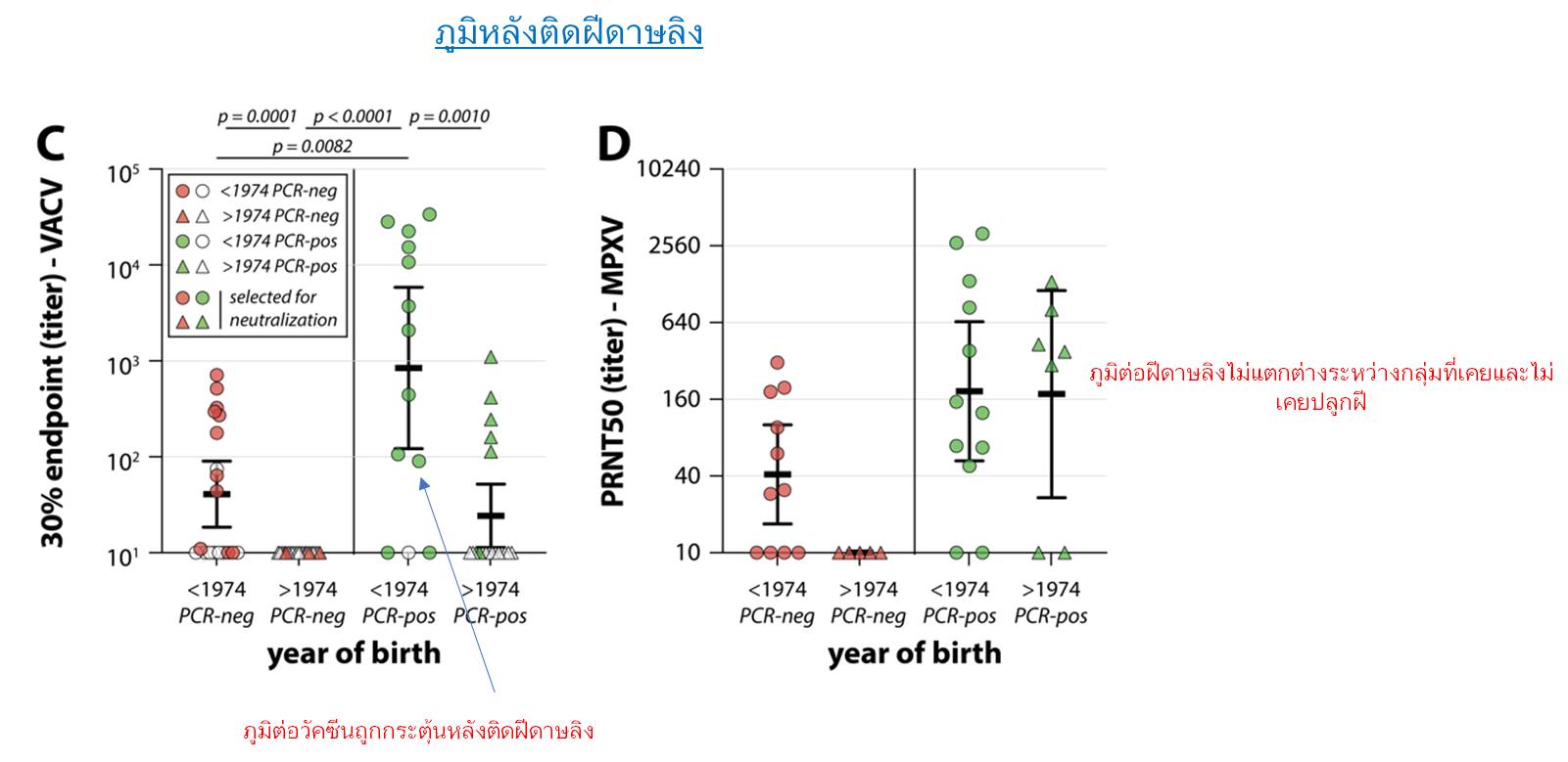 ภูมิคุ้มกันจากการปลูกฝีในอดีต ยังมีป้องกัน ฝีดาษลิง ได้อยู่หรือไม่?