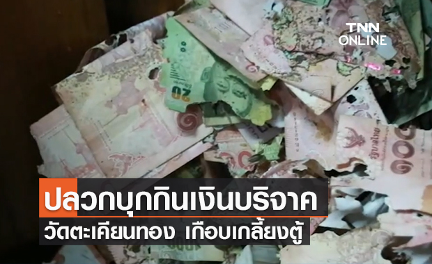 เสียหายนับหมื่น! ตู้บริจาคค่าไฟ-ค่าน้ำ ถูกปลวกบุกกินเงินแทบเกลี้ยงตู้ เสียหายนับหมื่น! ตู้บริจาคค่าไฟ-ค่าน้ำ ถูกปลวกบุกกินเงินแทบเกลี้ยงตู้