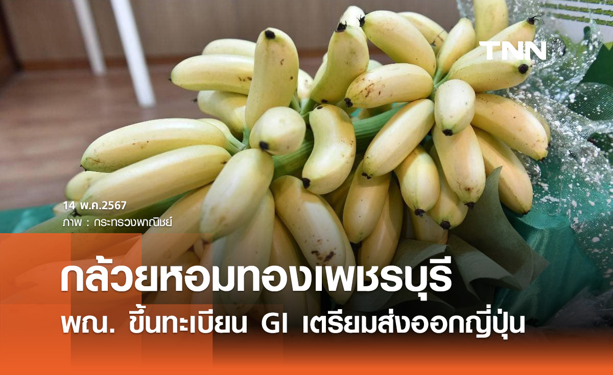 พณ. ขึ้นทะเบียน GI "กล้วยหอมทองเพชรบุรี" จ่อส่งออกญี่ปุ่น
