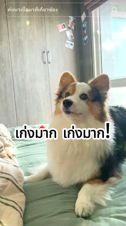 ไวรัล! นปโปะหม่ำๆ เพลงเชียร์น้องสุนัขกินข้าว