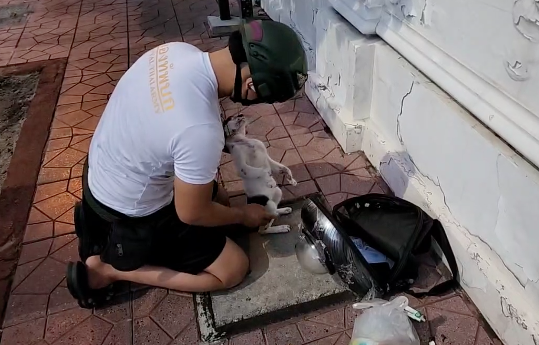 ชัชชาติยกนิ้วให้!ทหารขี่บิ๊กไบค์ช่วยแมวจรบาดเจ็บรอบสนามหลวง ชัชชาติยกนิ้วให้!ทหารขี่บิ๊กไบค์ช่วยแมวจรบาดเจ็บรอบสนามหลวง