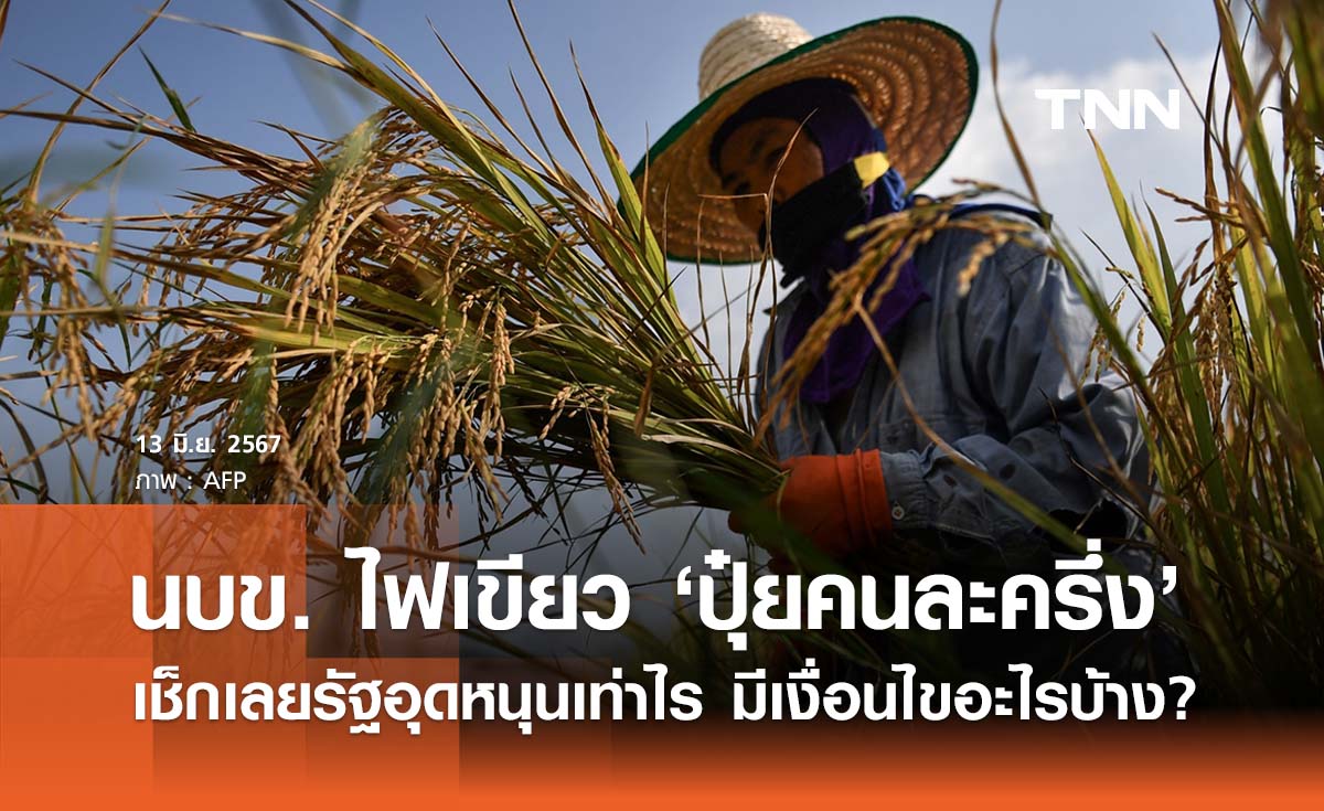 เกษตรกรเฮ! นบข. ไฟเขียว ‘ปุ๋ยคนละครึ่ง’ เช็กเลยรัฐอุดหนุนให้เท่าไร?