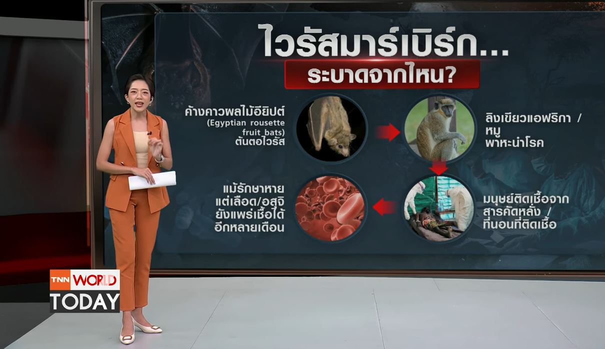 จับตา ไวรัสมาร์เบิร์ก ระบาดในแอฟริกา 