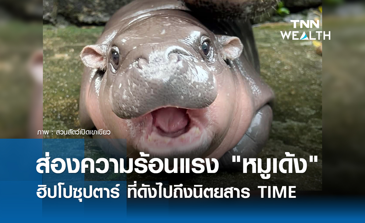 ส่องความร้อนแรง "หมูเด้ง" ฮิปโปซุปตาร์  ที่ดังไปถึงนิตยสาร TIME