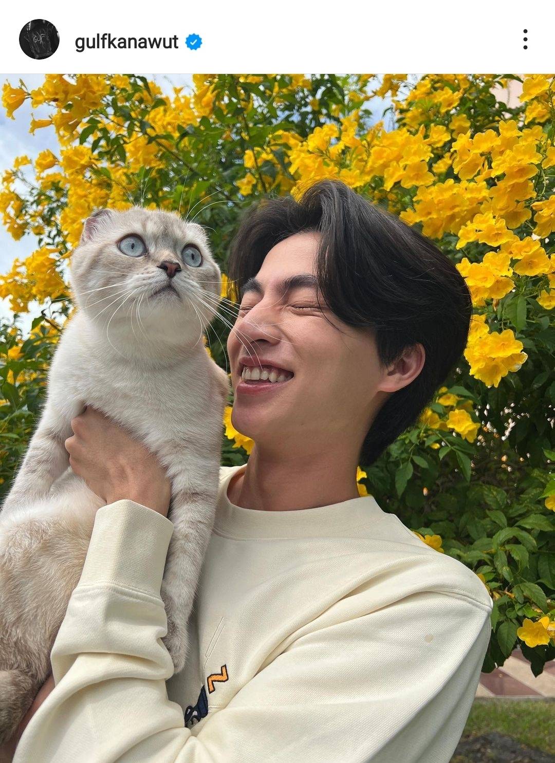 4 มิถุนายน วันกอดแมวสากล รวมหนุ่มๆคนบันเทิงทาสแมว 4 มิถุนายน วันกอดแมวสากล รวมหนุ่มๆคนบันเทิงทาสแมว