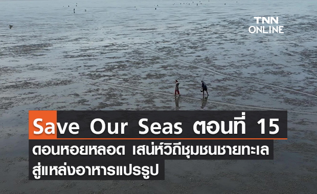 (คลิป) Save Our Seas ตอนที่ 15 ดอนหอยหลอด เสน่ห์วิถีชุมชนชายทะเลสู่แหล่งอาหารแปรรูป