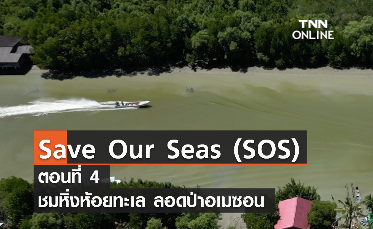 (คลิป) Save Our Seas (SOS) ตอนที่ 4 ชมหิ่งห้อยทะเล ลอดป่าอเมซอน