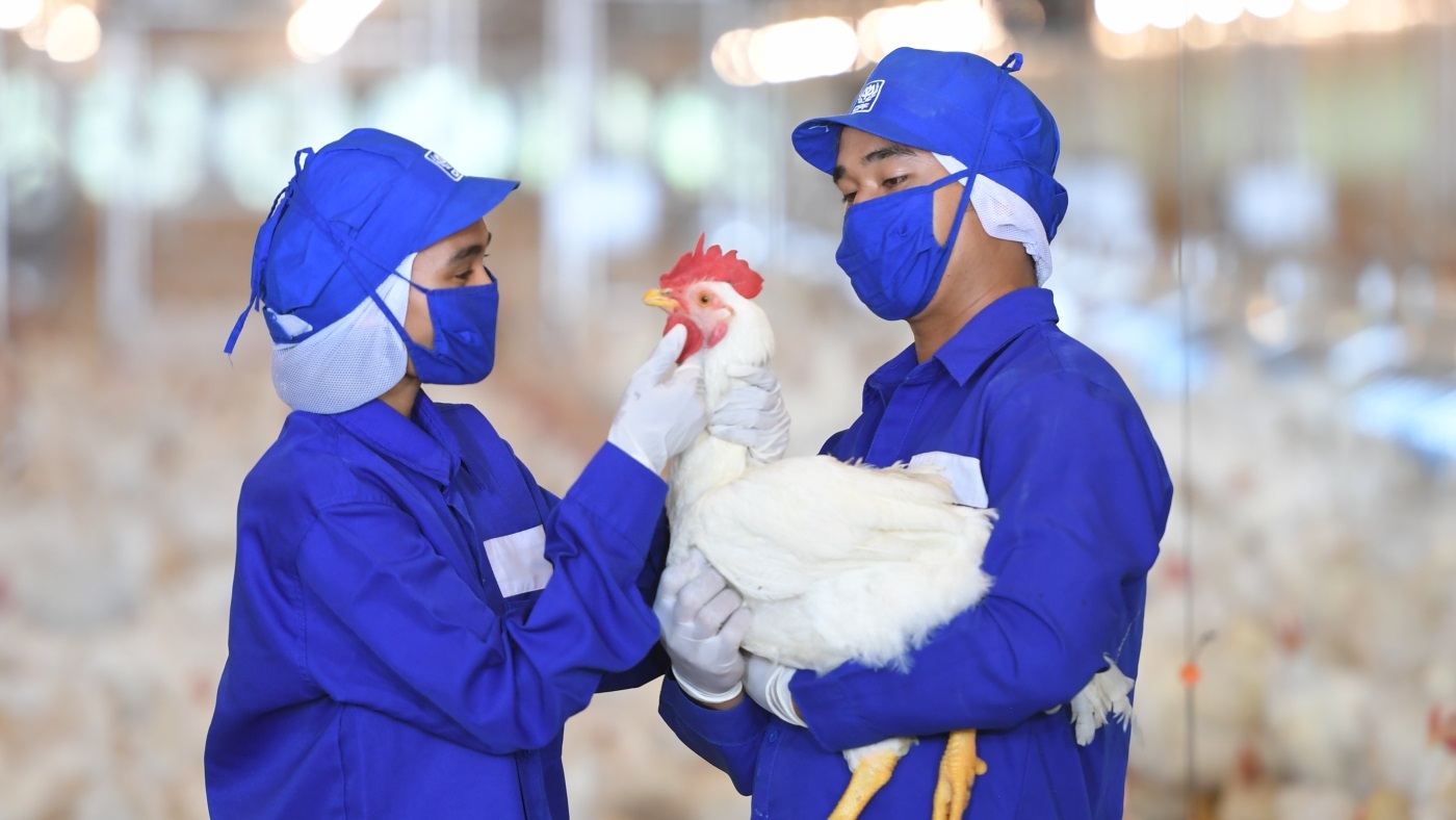ซีพีเอฟได้รับรอง LR Farm F1rst ตอกย้ำการผลิตไก่เนื้อ ซีพีเอฟได้รับรอง LR Farm F1rst ตอกย้ำการผลิตไก่เนื้อ