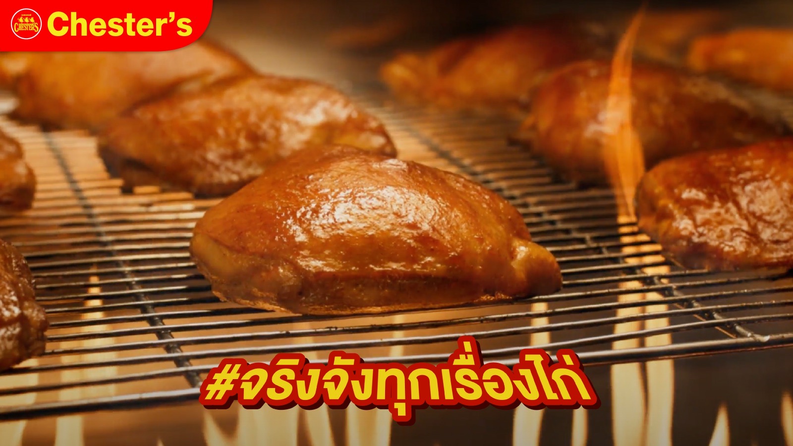 มิติใหม่ของวงการไก่! Chester’s ปล่อยเพลง ‘ไก่ย่างถูกเผา Ver. 2023’ เจาะกลุ่มวัยรุ่น