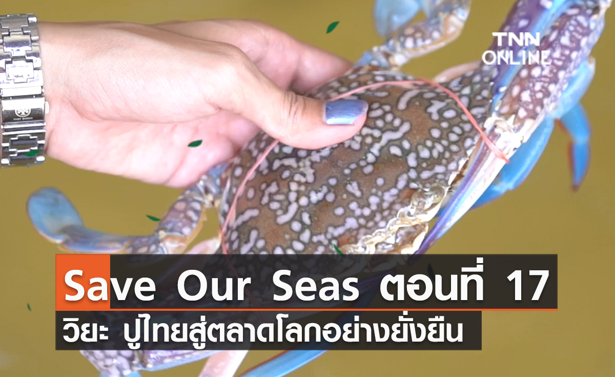 (คลิป) Save Our Seas ตอนที่ 17 วิยะ ปูไทยสู่ตลาดโลกอย่างยั่งยืน