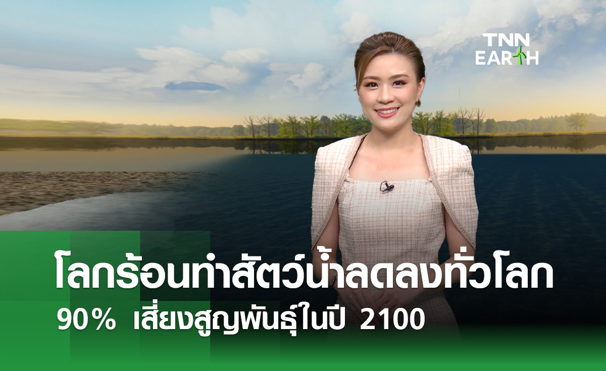 โลกร้อนทำสัตว์น้ำลดลงทั่วโลก 90% เสี่ยงสูญพันธุ์ในปี 2100