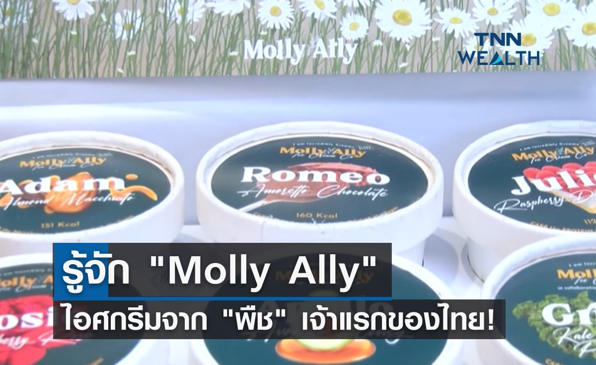 รู้จัก Molly Ally ไอศกรีมจาก พืช เจ้าแรกของไทย! 