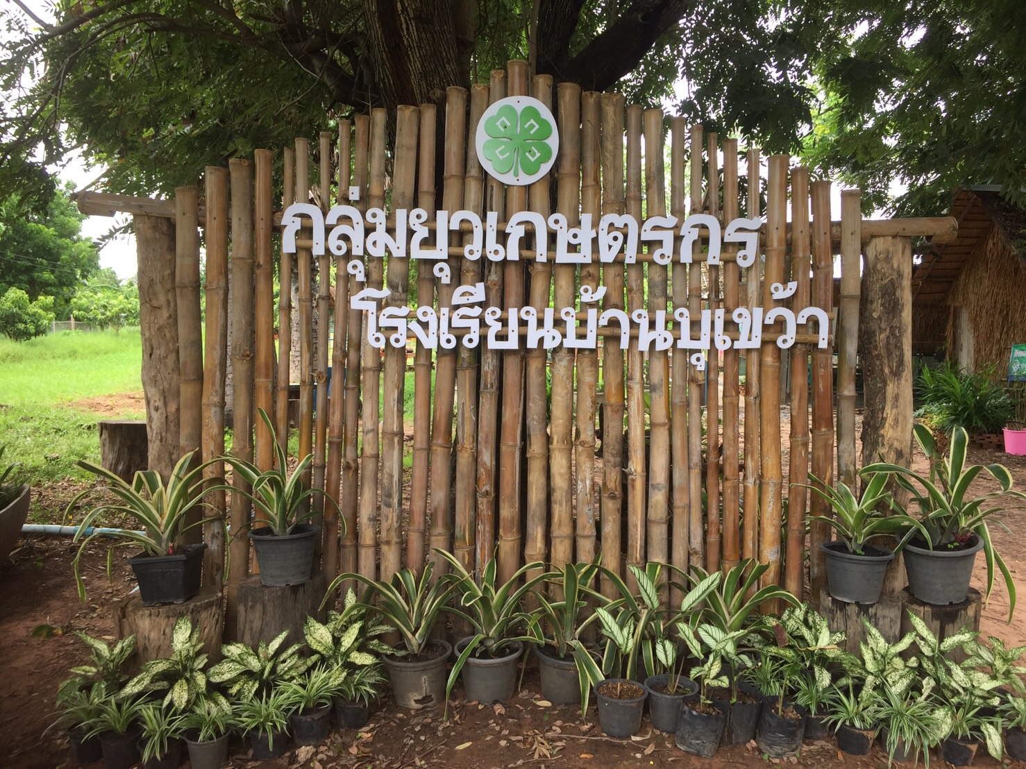 CPF ร่วมสร้างยุวเกษตรให้น้องๆรร.บ้านบุเขว้าจ.นครราชสีมา  ในโครงการคอนเน็กซ์ อีดี