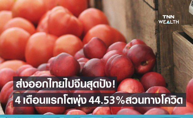  ส่งออกไทยไปตลาดจีนสุดปัง 4 เดือนแรกปี 64 โตพุ่ง 44.53%